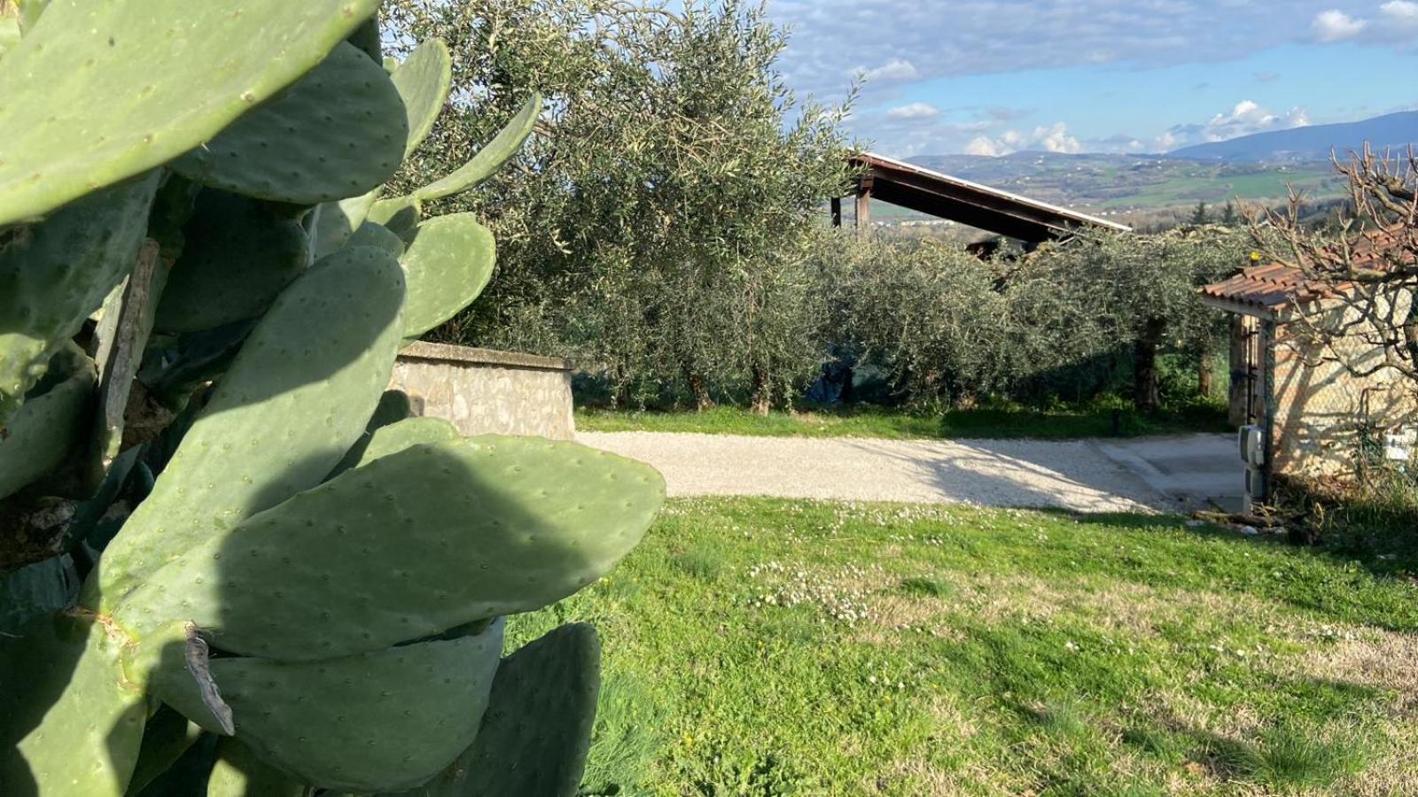 Casa Civico22 Villa Fratta Todina Екстериор снимка